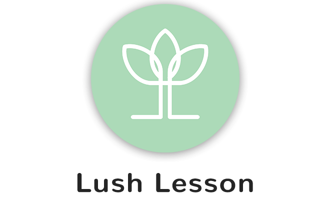 Curated Class Designed To What Your Body Needs Now - Emblem (660x444), Png Download