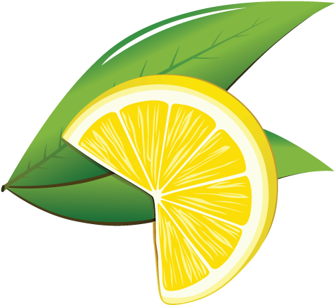 Vector Graphics (500x473), Png Download