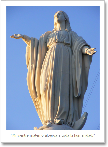 Mensaje De La Santísima Virgen María A Su Hija Amada - Cerro San Cristobal, Virgin Mary (455x609), Png Download