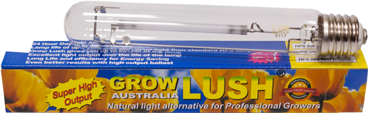 Growlush 600w Hps Lamp - Fruit (600x500), Png Download