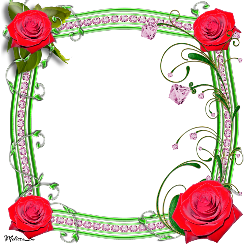 Frame Roses With Swirls Png By Melissa Tm - Portable Network Graphics (800x801), Png Download