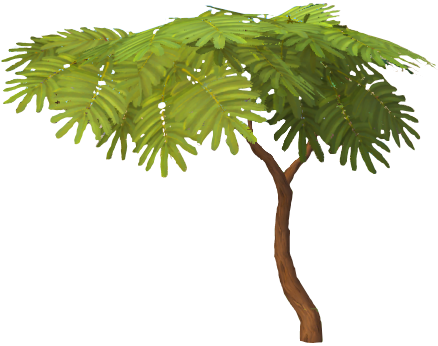 Acadia Logs - Acadia Tree (438x346), Png Download
