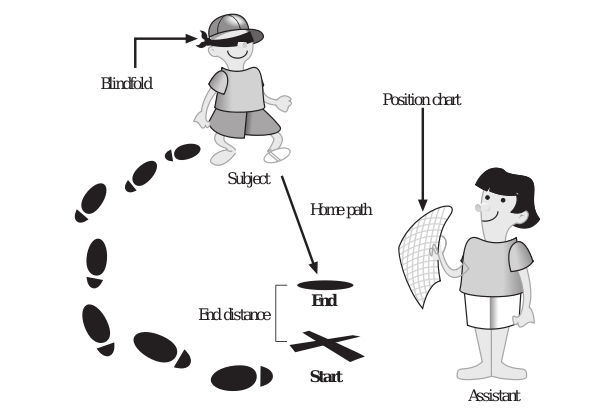 Vinex Training Hurdle - Diagram (500x500), Png Download