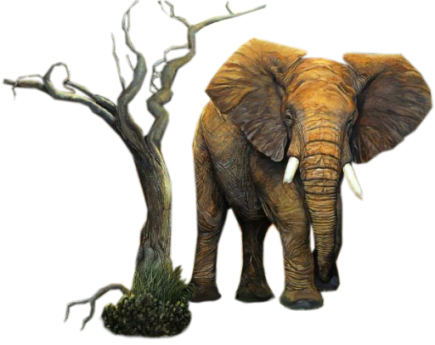 Elephant-tree - Png Eleafant (435x345), Png Download