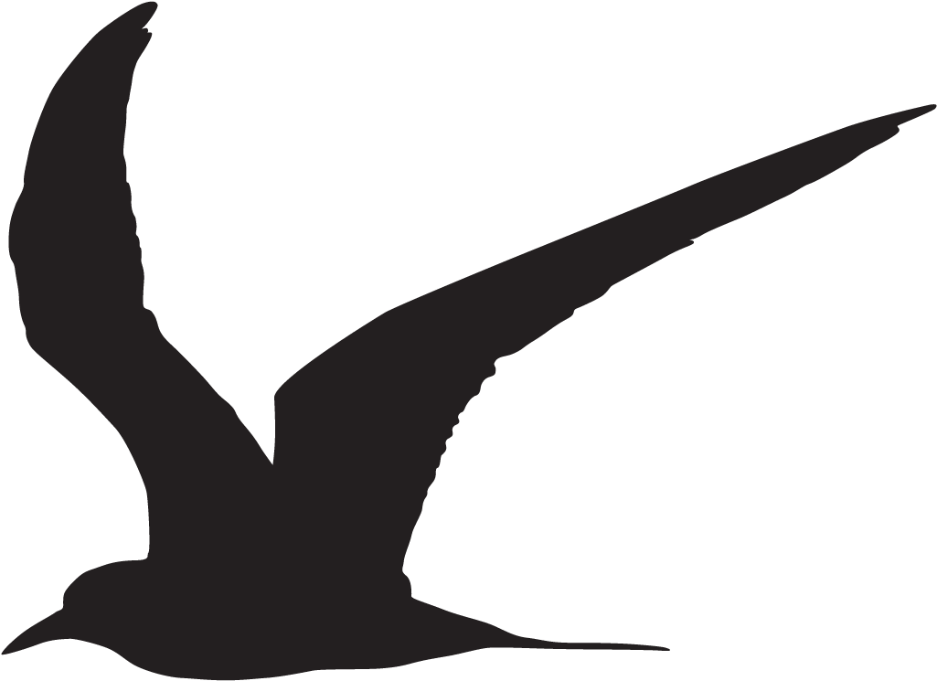 Common Tern - Common Tern Silhouette (1024x1024), Png Download