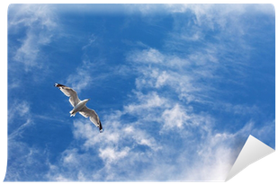 Flight (400x400), Png Download