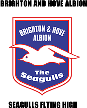 Brighton And Hove Albion Badge (300x400), Png Download