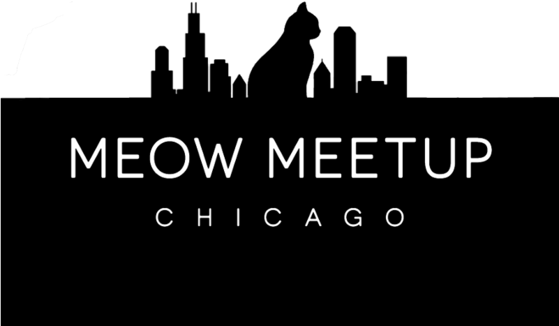 Large Logowhite Outline Skyline Black - Donald E Stephens Convention Center (800x526), Png Download