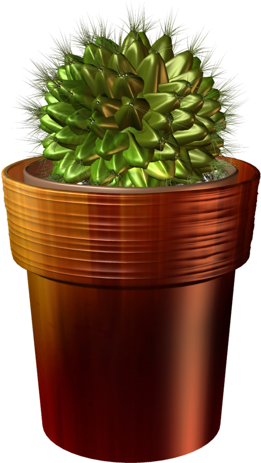 Árvores, Jardim E Etc - Cactus (656x1024), Png Download