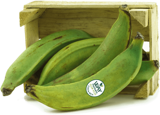 Plantains Transparent (612x408), Png Download