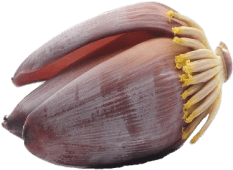 Plantain Flower - Banana (500x500), Png Download