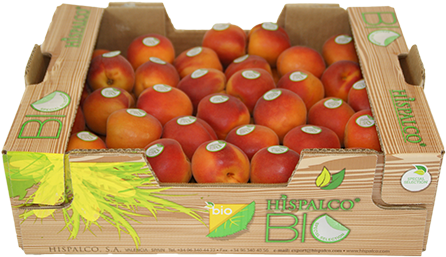 Apricots - - Nectarines (500x333), Png Download