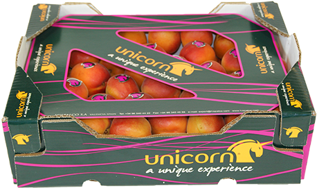 Apricots - - Ataulfo (500x333), Png Download