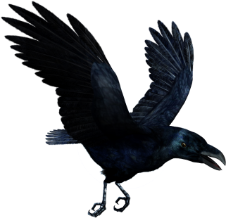 Ravan Png Pictures Png Images - Mc Ride Tattoo Crow (400x382), Png Download
