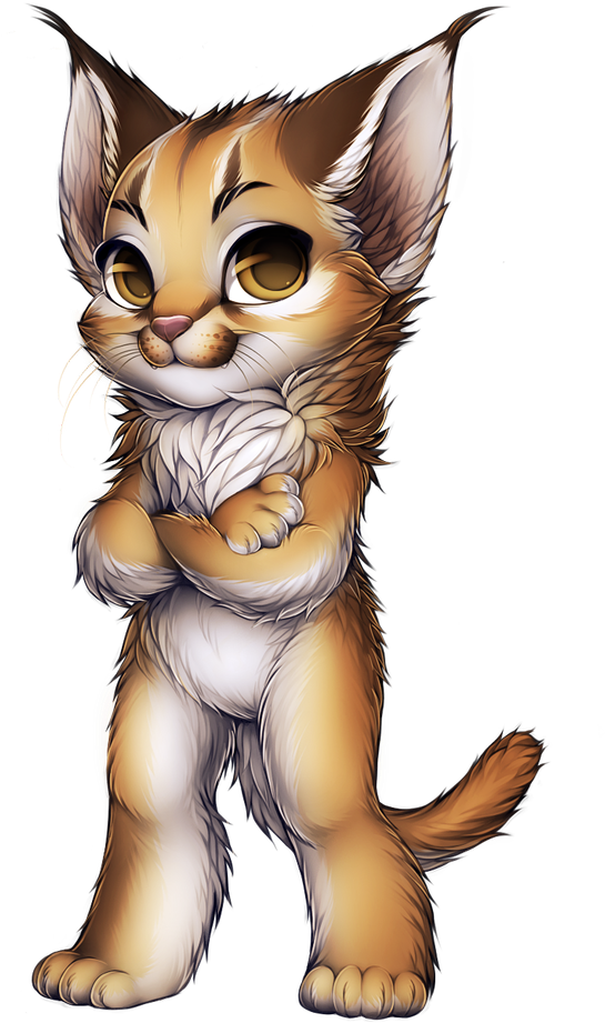 Scottish Fold Siamese Cats (600x944), Png Download