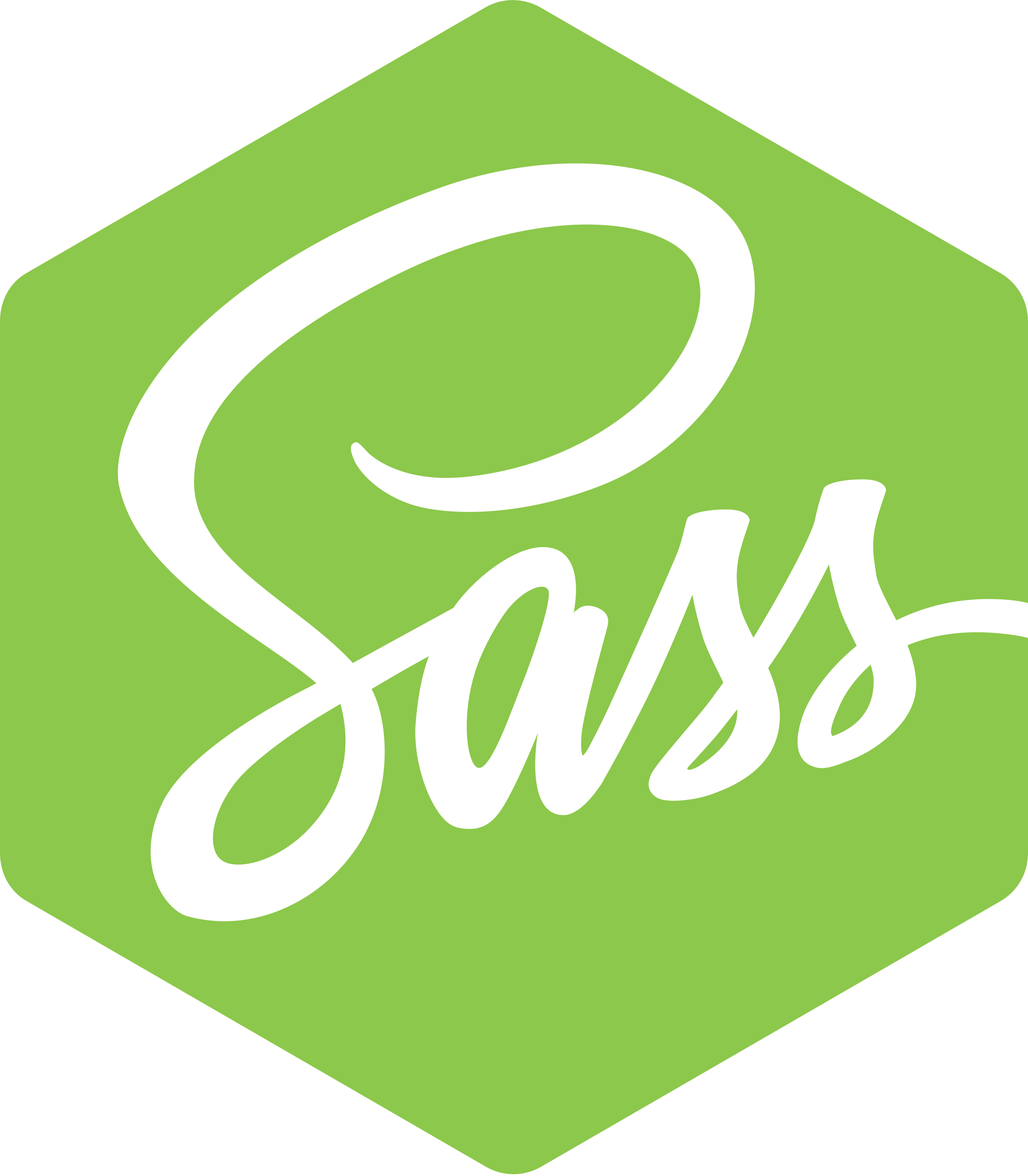 Node Sass Logo Png Transparent - Node Sass (2400x2747), Png Download