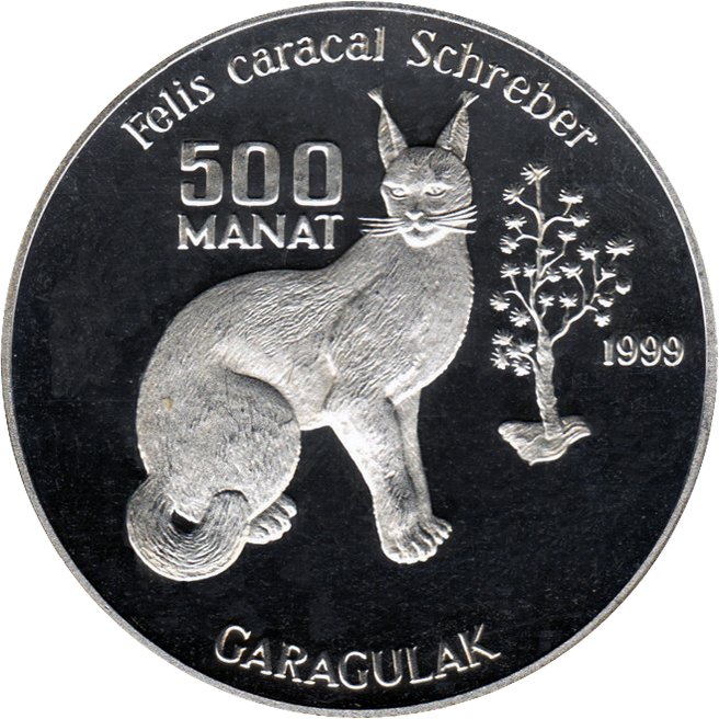 Tm 1999 500manat Caracal B - Venezuelan Bolívar (656x656), Png Download