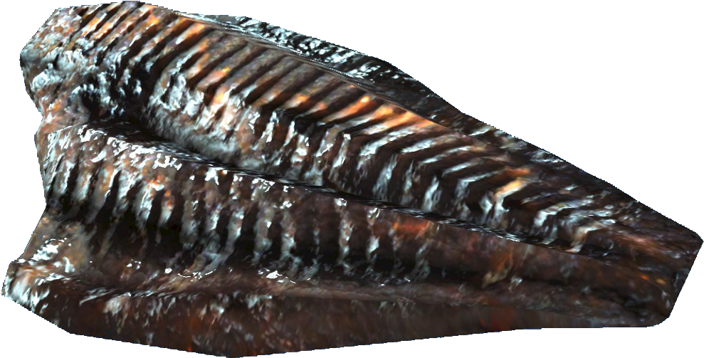 Angler Meat - Fallout 4 Consumables (1079x675), Png Download