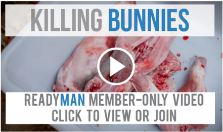 What's - Rabbit (480x307), Png Download