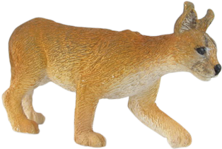 Caracal - Lion (592x450), Png Download