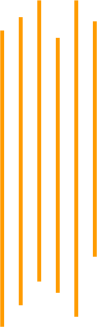 Lines Lines - Orange (199x670), Png Download