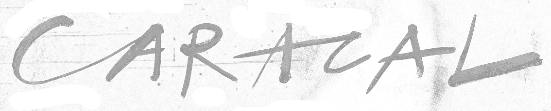 Caracal Disclosure - Disclosure Caracal Transparent (1134x230), Png Download