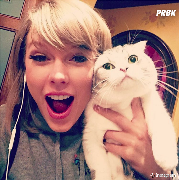 Taylor Swift Volta A Aparecer No Ranking De Fotos Mais - Taylor Swift And Meredith (950x597), Png Download
