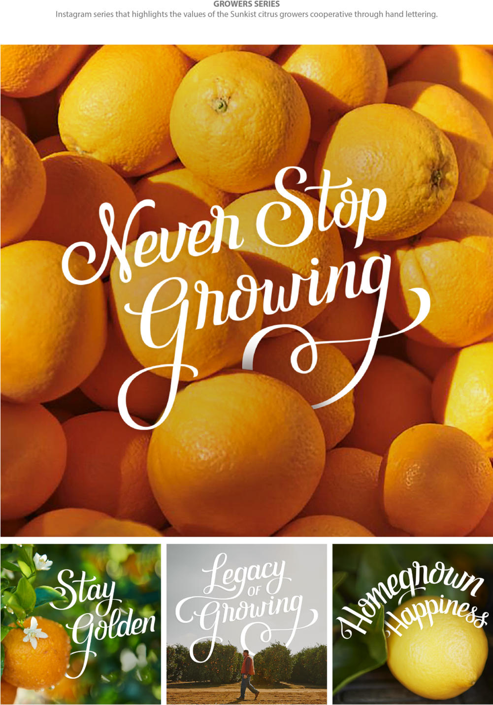 Sunkist-01 - Mandarin Orange (1000x1540), Png Download
