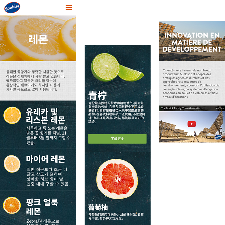 Com Chinese And French Localization - Flyer (750x750), Png Download