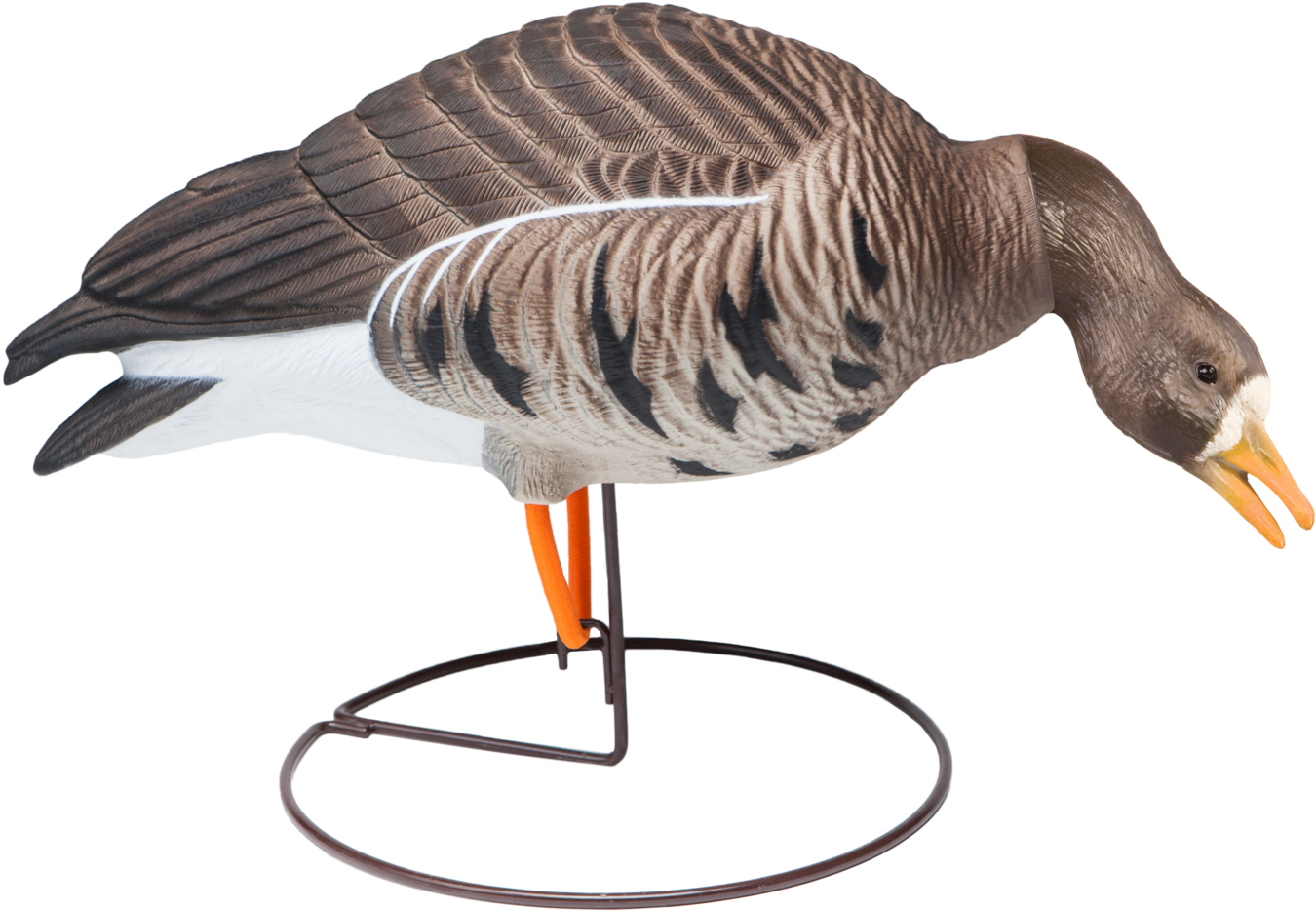 Field Speckle Bellies Center Feeder Goose Hunting Decoy - Final Approach Last Pass Hd (2048x1545), Png Download