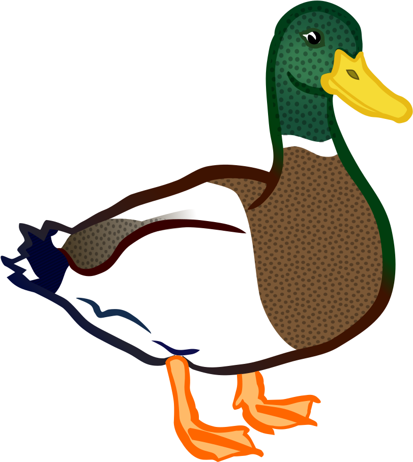 Duck - Coloured - Clip Art Duck Png (937x1000), Png Download