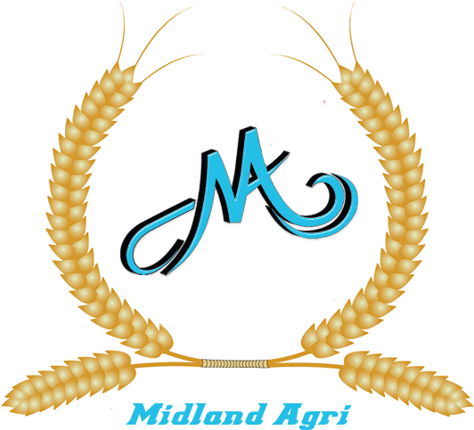 Multiple Image Upload - Design (600x600), Png Download
