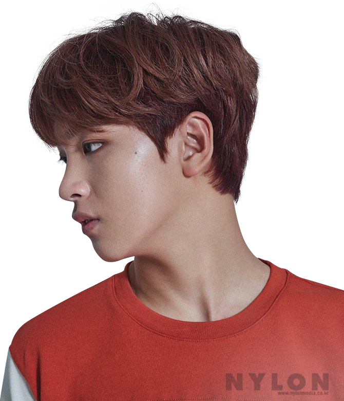 Nct Donghyuck Donghyuck (500x582), Png Download