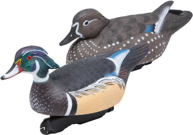 Sale - Duck (1100x860), Png Download