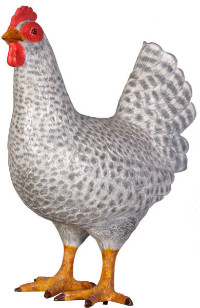 Img - Figura Gallina (600x600), Png Download