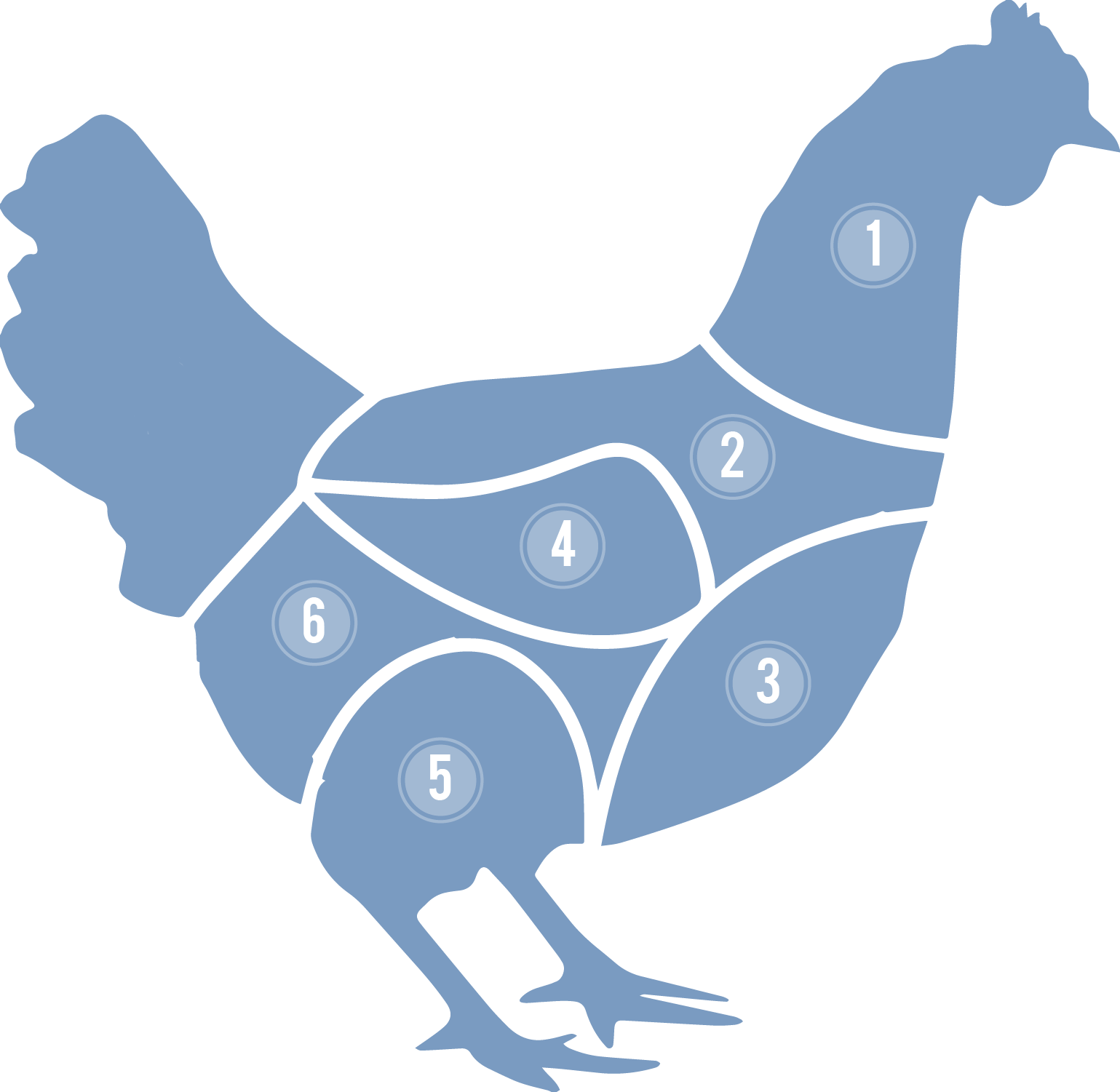 1 - Neck - Cortes De La Gallina Png (1539x1501), Png Download