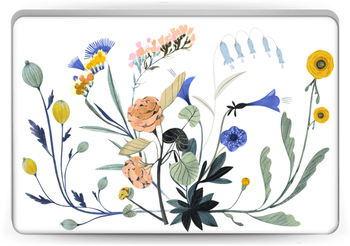 Springtime - Laptop (800x533), Png Download