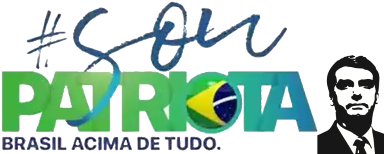 Sou Patriota - Bolsonaro - Eu Sou Patriota Bolsonaro (400x400), Png Download