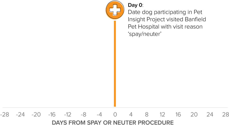 Medical Records As Maps 2 - Medicine (1000x535), Png Download
