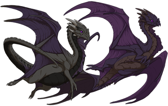 Adult - Nocturne Female Flight Rising (550x346), Png Download