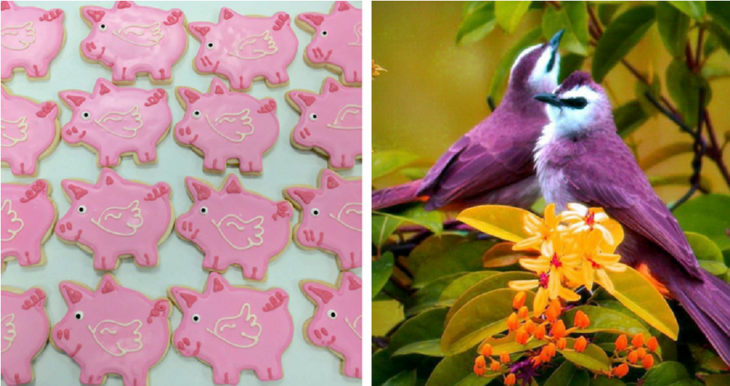 Las Tradiciones Más Extrañas Del Día De Los Enamorados - Purple Birds (1140x640), Png Download