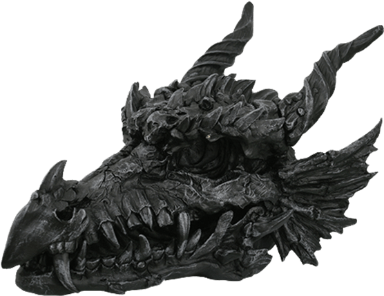 Large Black Dragon Skull - Black Dragon Skull (555x555), Png Download