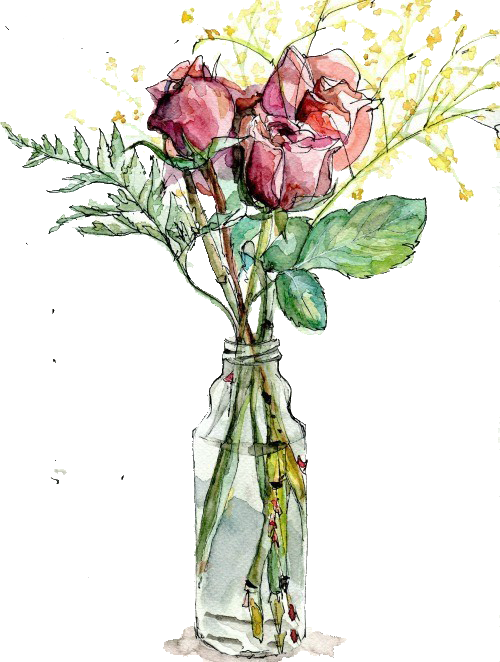 Garden Roses Vase Watercolor Painting Drawing Illustration - Rose In A Vase Drawing (500x662), Png Download