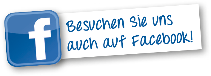 Facebook Button Transparent Download - Facebook Icon (790x305), Png Download