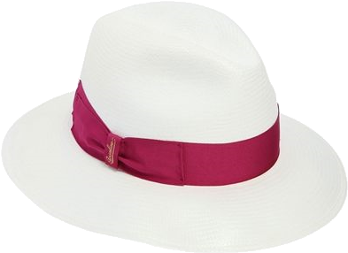 Hutpng - Fedora (400x347), Png Download