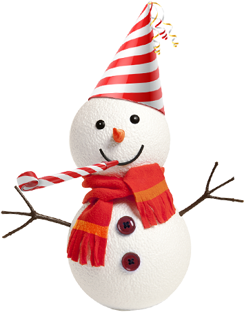 Vielen Dank, Dass Sie Mitgespielt Haben - Snowman (610x780), Png Download
