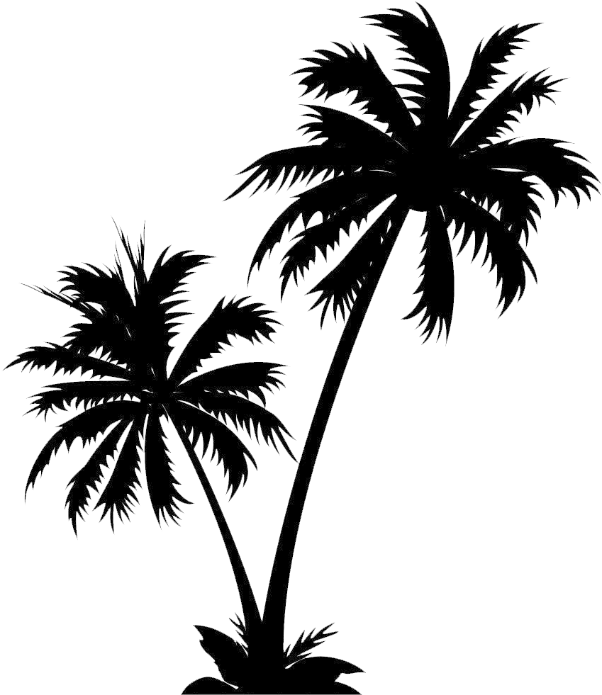 Isle Manage Specializes In White Palm Tree Png - Png White Palm Tree (688x801), Png Download