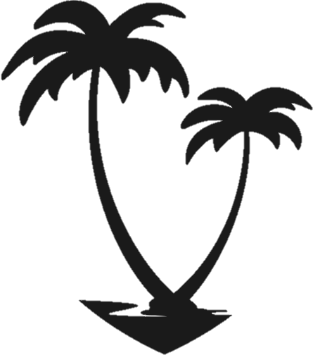 Copyright - Alyce Burnett - Palm Trees (445x504), Png Download