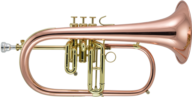 Flugelhorns - Trumpet (642x557), Png Download