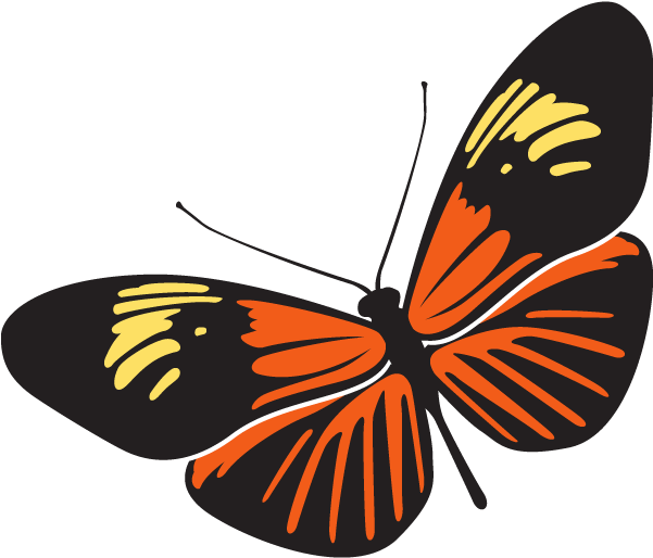 Rama-rama Is The Malaysian Word For Butterfly - Clip Art Rama Rama (600x617), Png Download